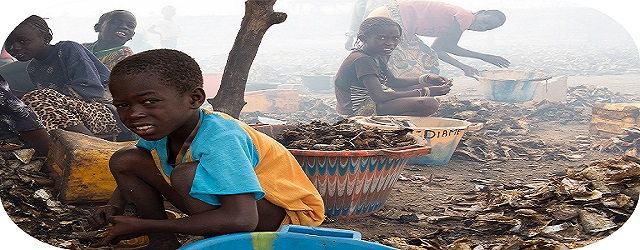 Enfants au travail dans le Sine Saloum Enfants au travail 2