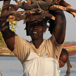 Diaporama : une mission VSF tout en images dans le Siné Saloum …