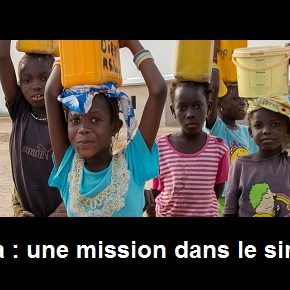 Diaporama : une mission VSF tout en images dans le Siné Saloum ...