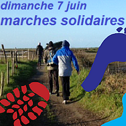 7 juin : marches solidaires VSF