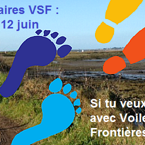 5 et 12 juin : les marches solidaires VSF 2016