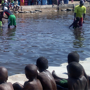 Natation pour tous, à Siwo