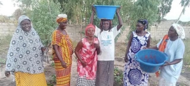 Soutenez le maraîchage dans les îles du Saloum