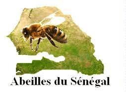 LES APICULTEURS DU GANDOUL – N°2 Mai 2022 LES APICULTEURS DU GANDOUL – N°2 Mai 2022