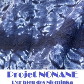 NONANE, L'Or Bleu des Niominka Chapitre 1