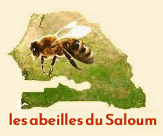 les apiculteurs du Gandoul infos octobre 2023–